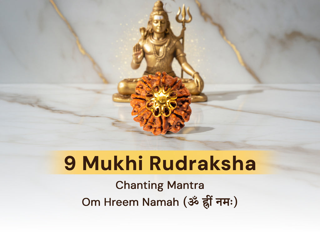 9 Mukhi Original Nepali Rudraksha