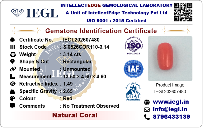 Red Coral - 3.14 Carat
