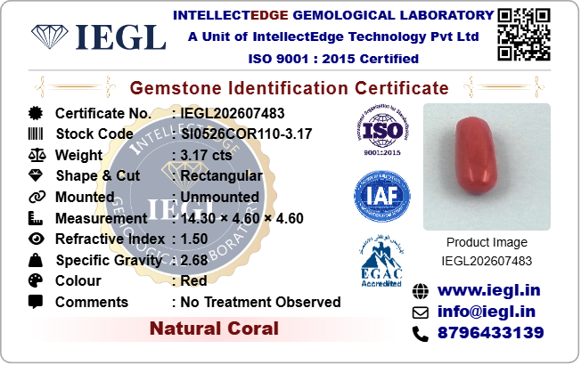 Red Coral - 3.17 Carat
