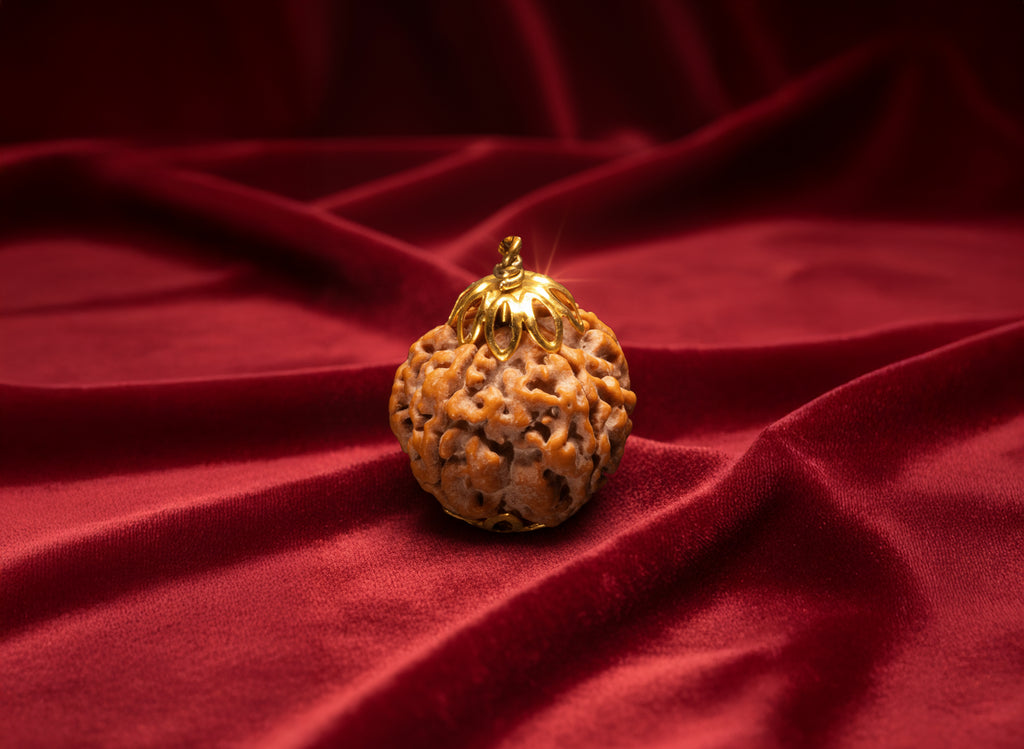 5 Mukhi Nepali Rudraksha