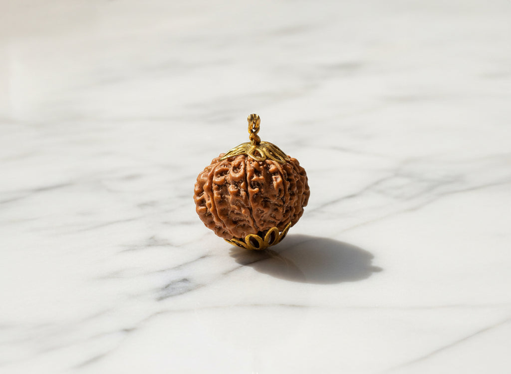 13 Mukhi Natural Nepali Rudraksha