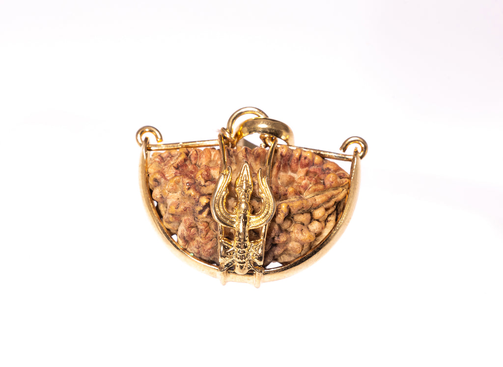 Ek Mukhi One Faced Trishul Rudraksha - Lab Certified