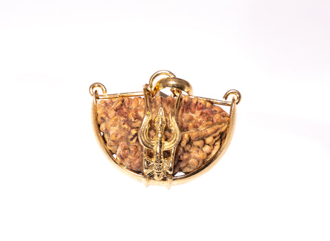 Ek Mukhi One Faced Trishul Rudraksha - Lab Certified