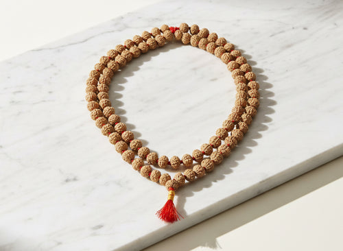 6 Mukhi Rudraksha Mala, 10mm (54 + 1 Beads)