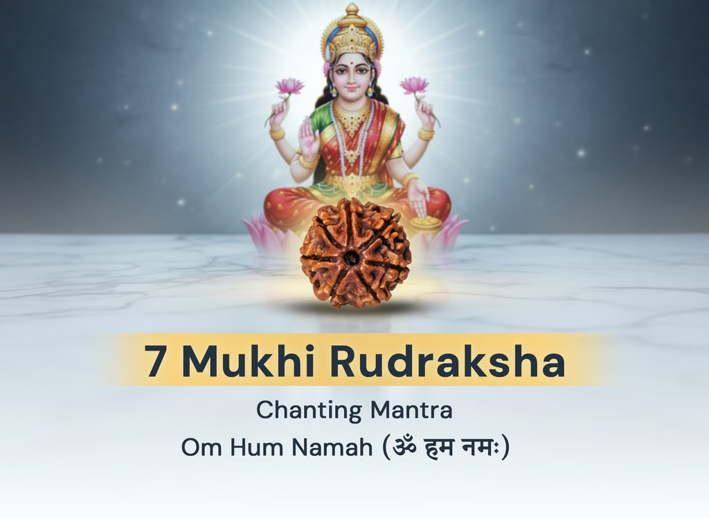 7 Mukhi Original Nepali Rudraksha