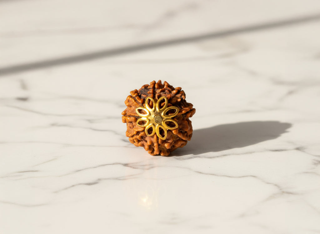 8 Mukhi Original Nepali Rudraksha