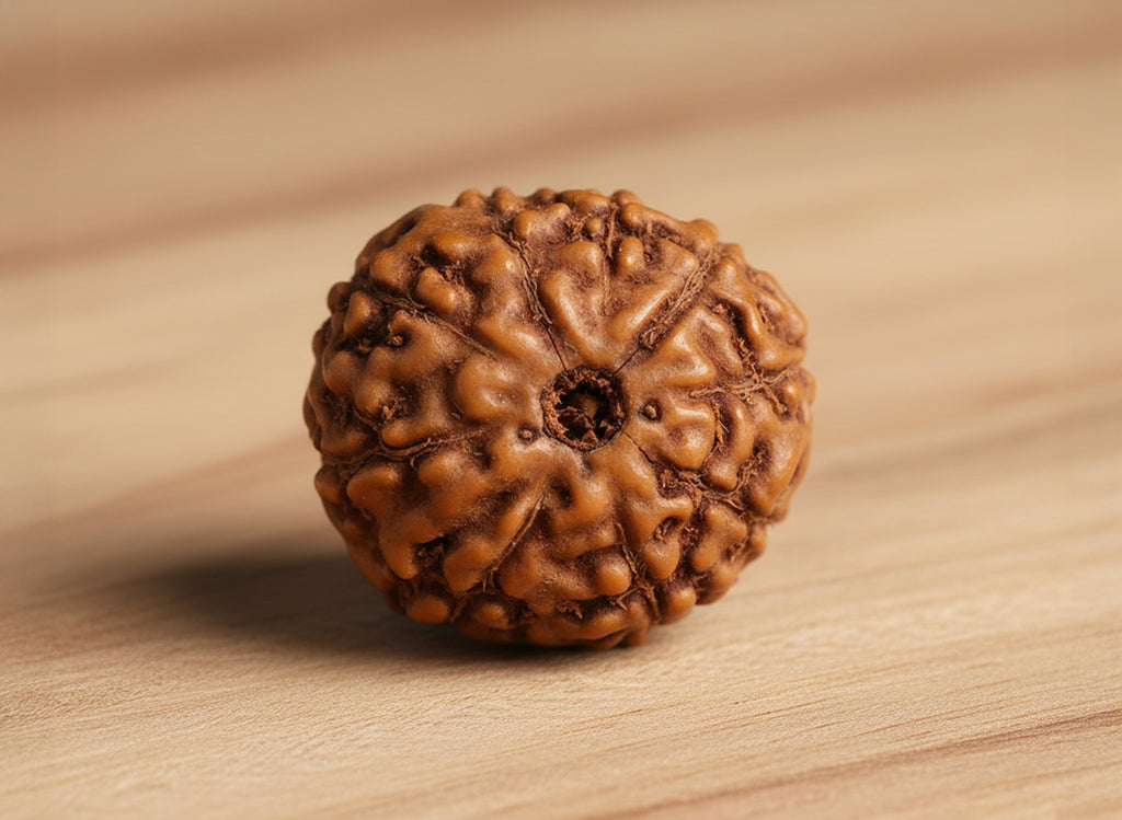 Nau Mukhi- Nine Faced Indo Ruadraksha - Lab Certified