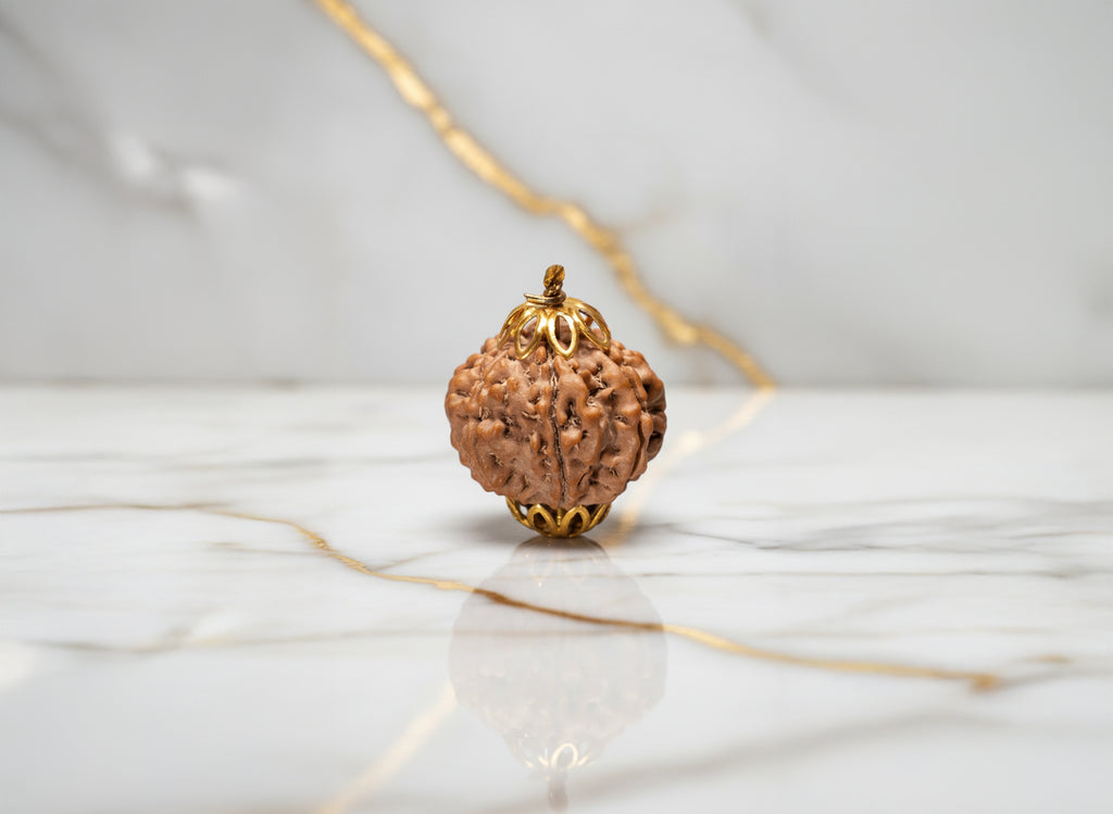 10 Mukhi / Ten Faced Rudraksha - Indo