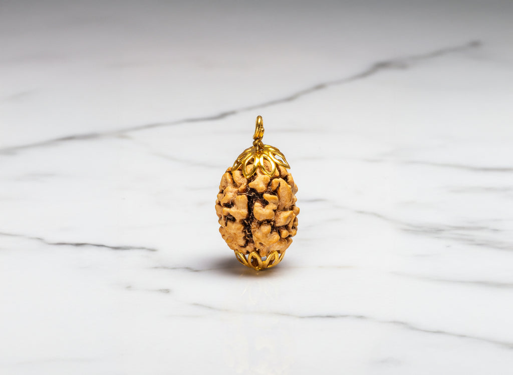 3 Mukhi Nepali Rudraksha