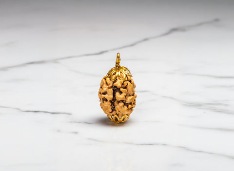 3 Mukhi Indian Original Rudraksha