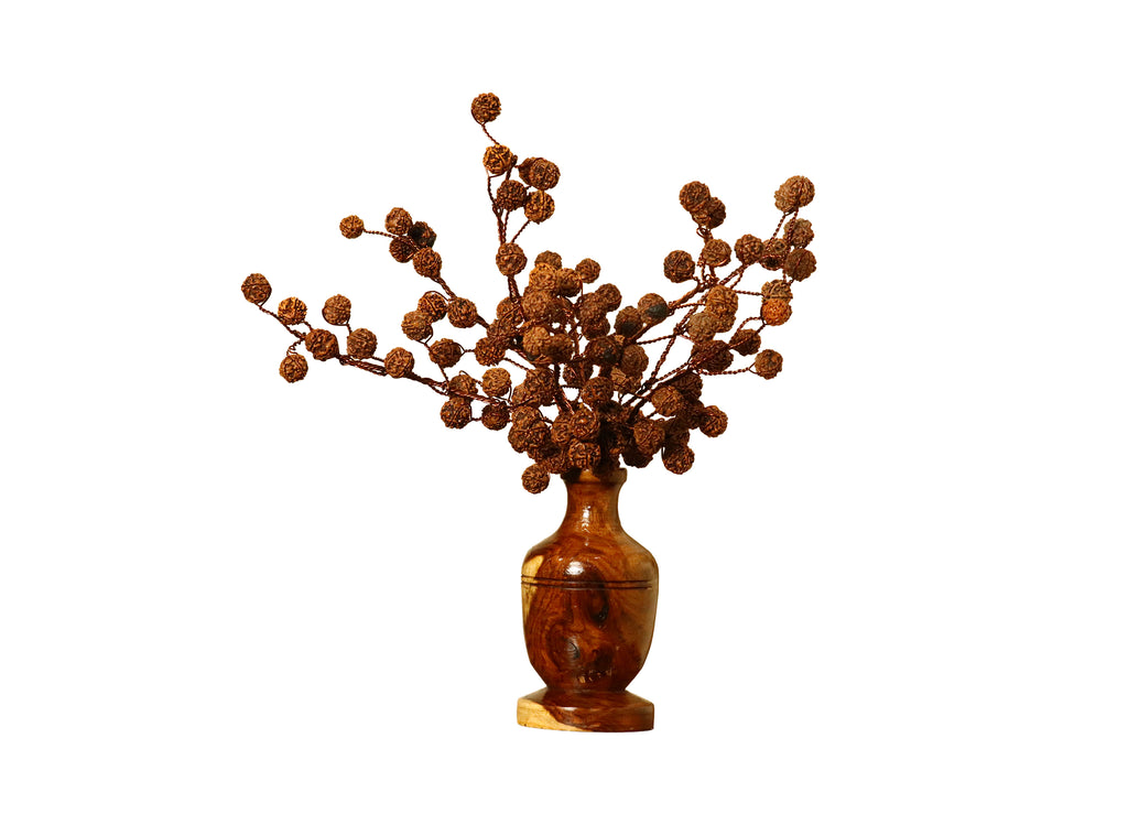 Rudraksha Tree (108 Beads) – Without Color