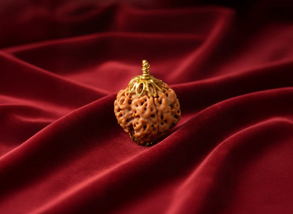 4 Mukhi Original Nepali Rudraksha