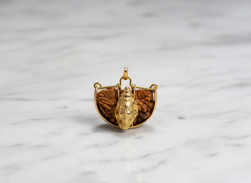 1 Mukhi (Shiv) Rudraksha