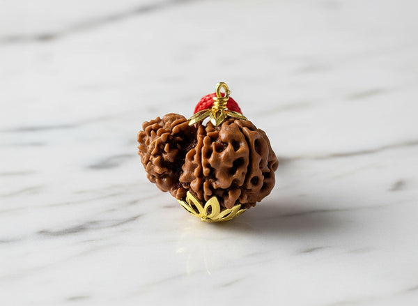 Garbh-Gauri Rudraksha (Nepali)