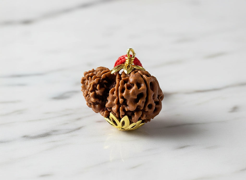 Garbh-Gauri Original Nepali Rudraksha