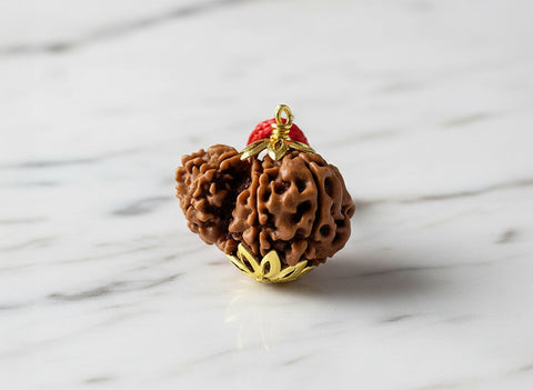 Garbh-Gauri Original Nepali Rudraksha