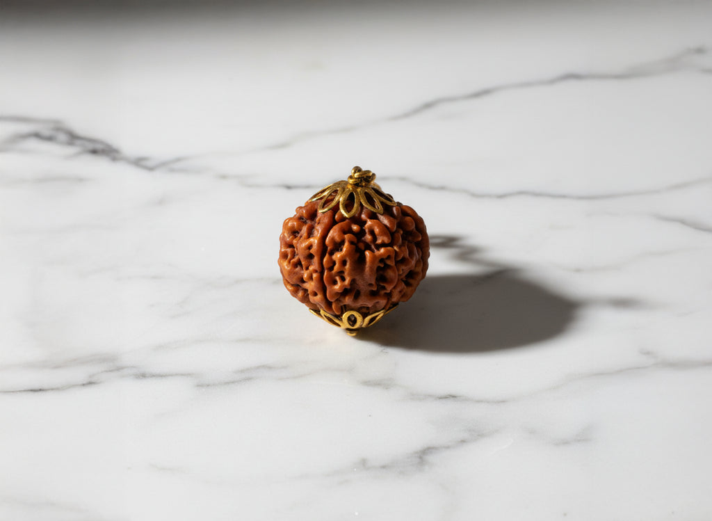 6 Mukhi Nepali Rudraksha
