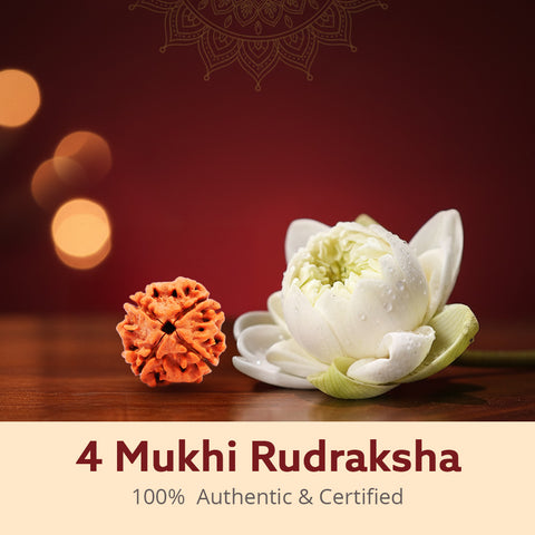 4 Mukhi Original Nepali Rudraksha