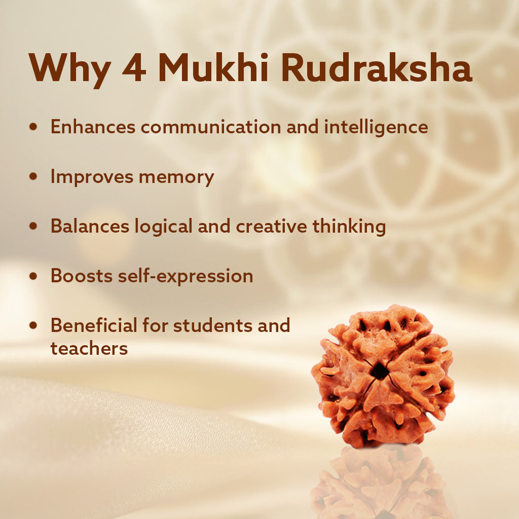 4 Mukhi Original Nepali Rudraksha