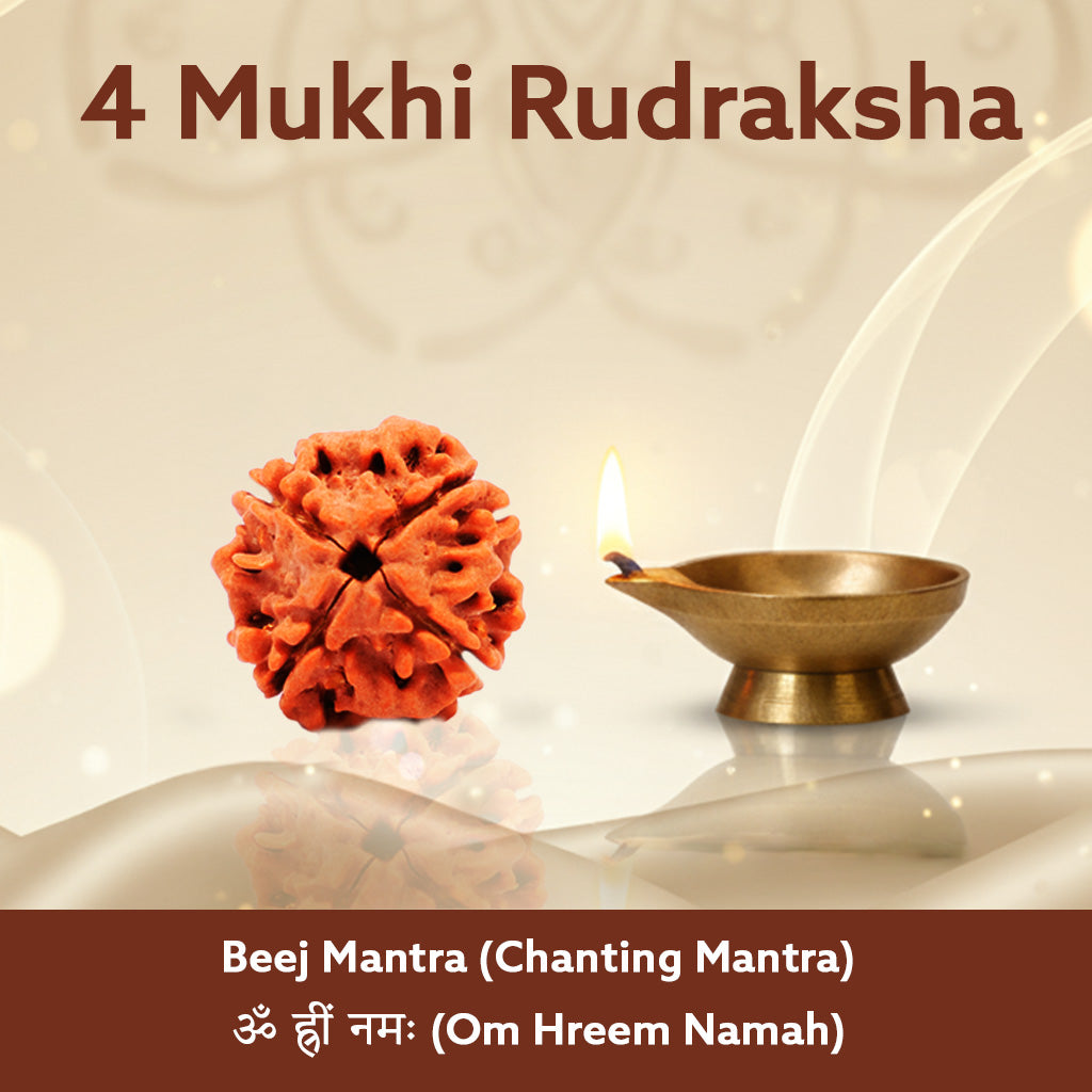 4 Mukhi Original Nepali Rudraksha