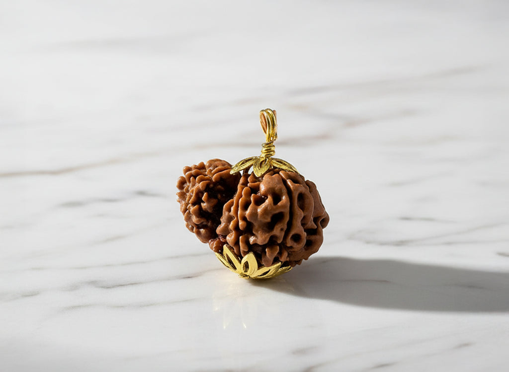 Garbh-Gauri Original Nepali Rudraksha