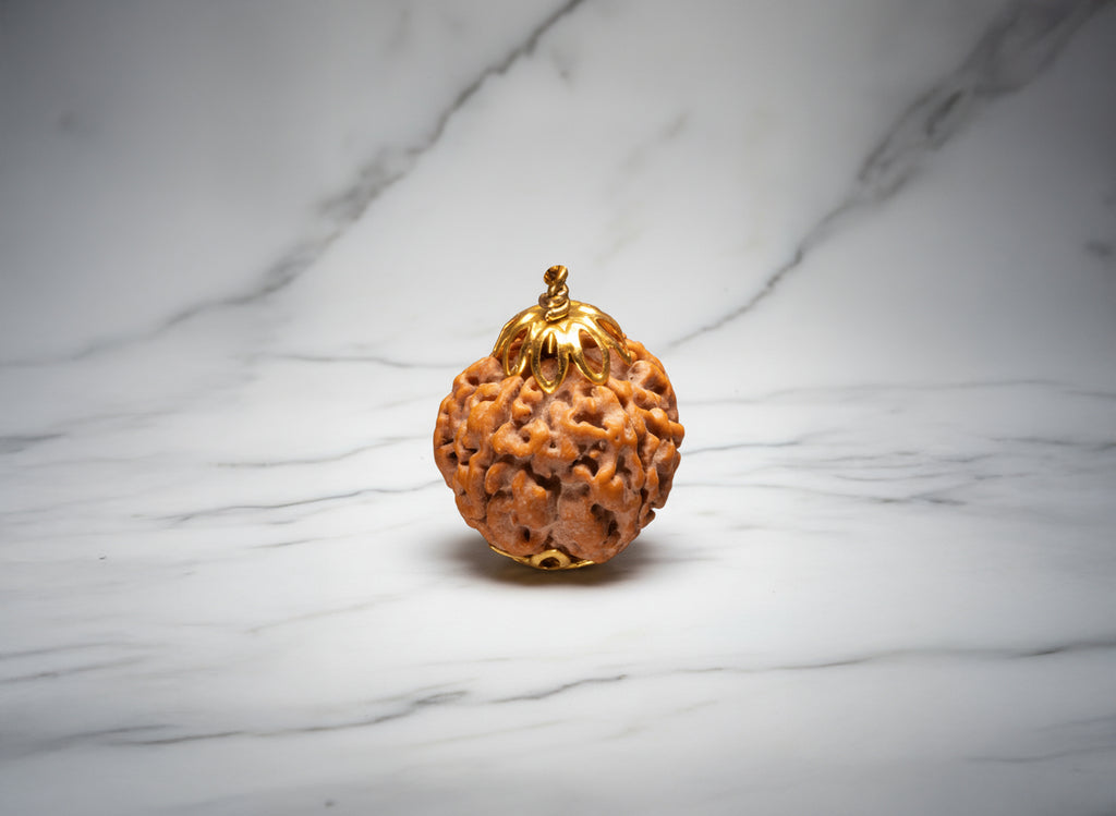 5 Mukhi Rudraksha (Nepali)