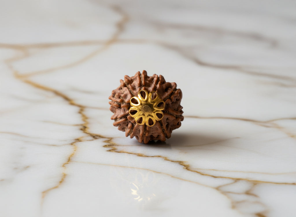 10 Mukhi Nepali Original Rudraksha