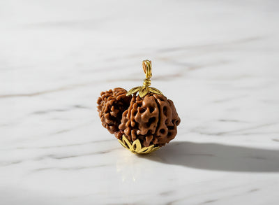 Garbh-Gauri Original Nepali Rudraksha