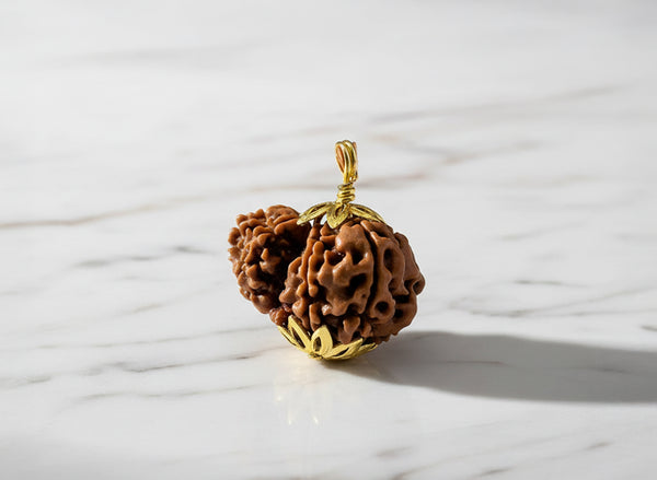 Garbh-Gauri Origional Nepali Rudraksha