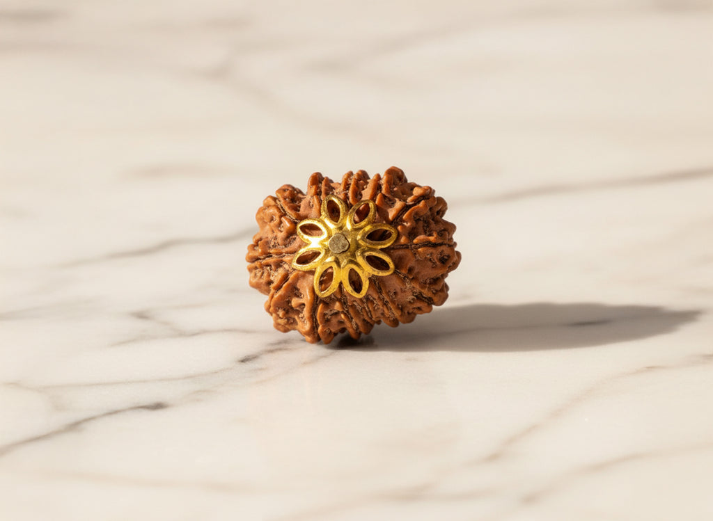 13 Mukhi Natural Nepali Rudraksha