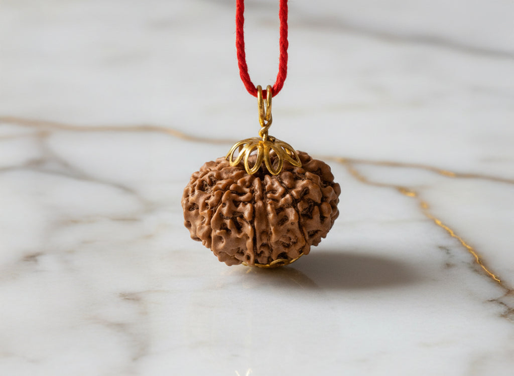 11 Mukhi Original Nepali Rudraksha