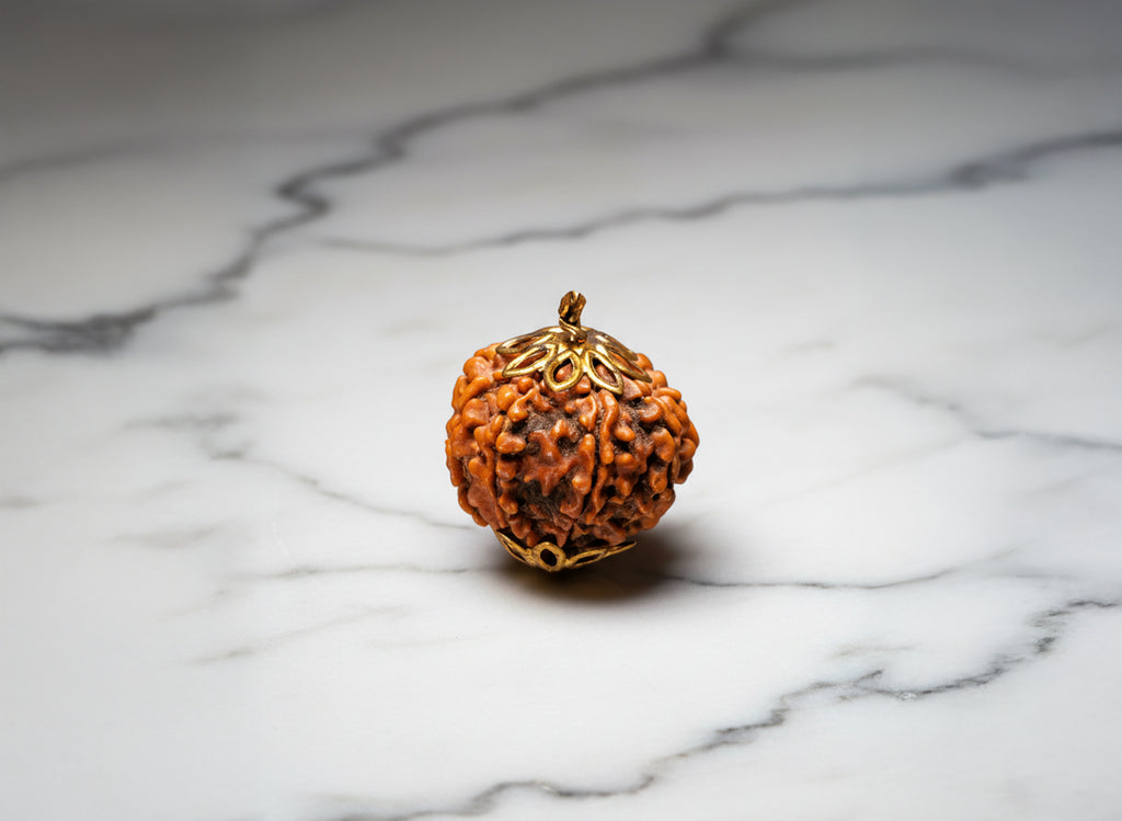 8 Mukhi Original Nepali Rudraksha