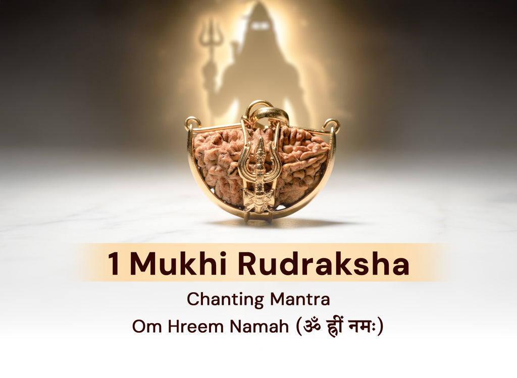 Ek Mukhi One Faced Trishul Rudraksha - Lab Certified