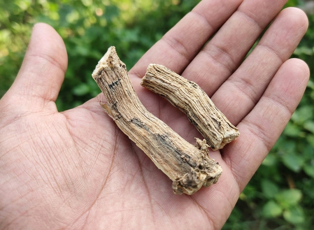 Arand Mool - Eranda Mool