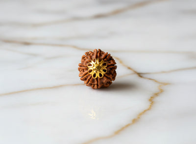 9 Mukhi Rudraksha (Nepali)
