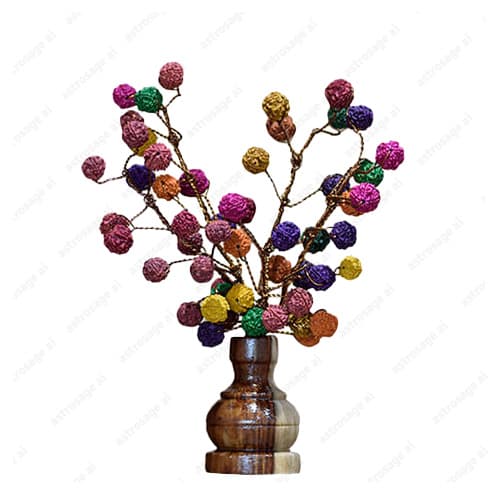 Rudraksha Tree (54 Beads Multicolor)