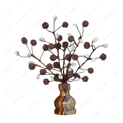 Rudraksha Tree (54 Beads Natural And Kaudi)
