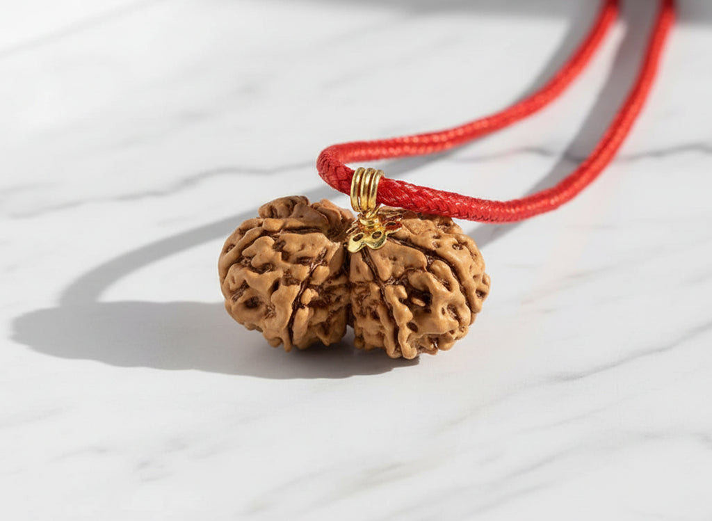 Gauri Shankar Rudraksha