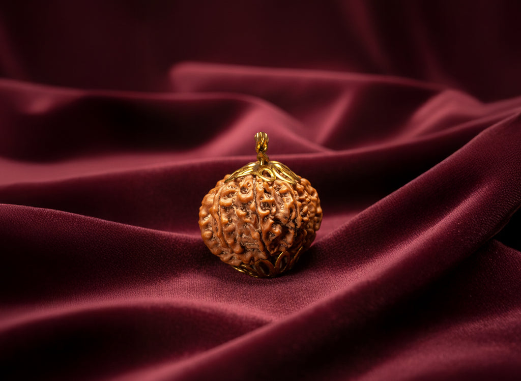13 Mukhi Natural Nepali Rudraksha