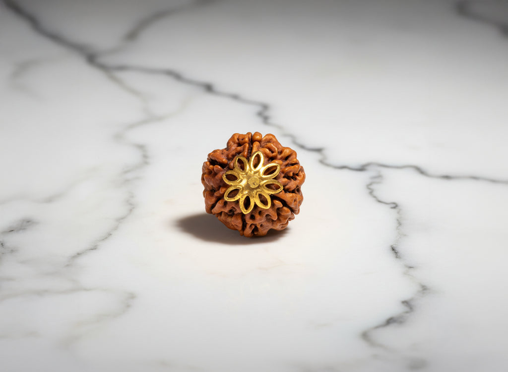 6 Mukhi Nepali Rudraksha