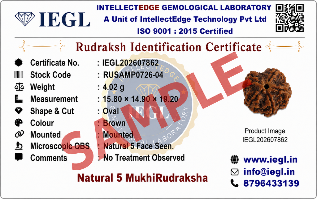 5 Mukhi Rudraksha (Nepali)