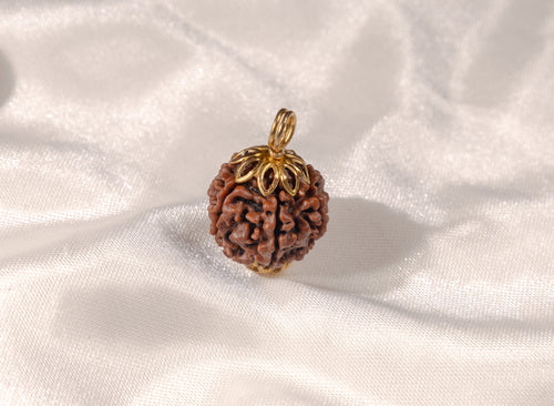 7 Mukhi Rudraksha (Nepali)