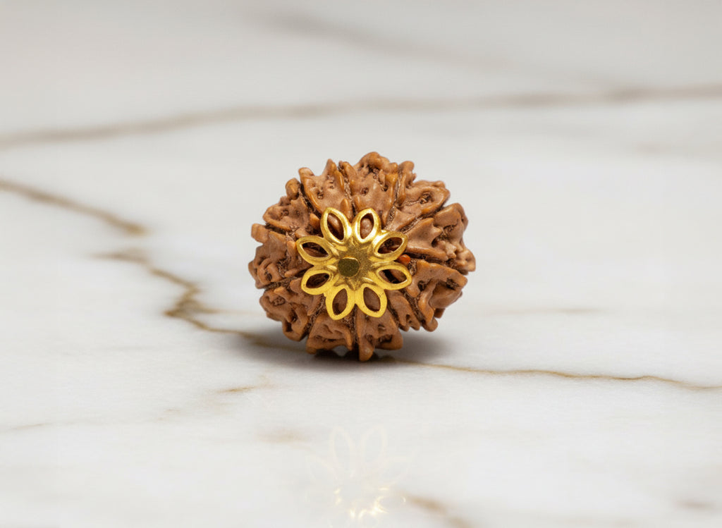 11 Mukhi Original Nepali Rudraksha