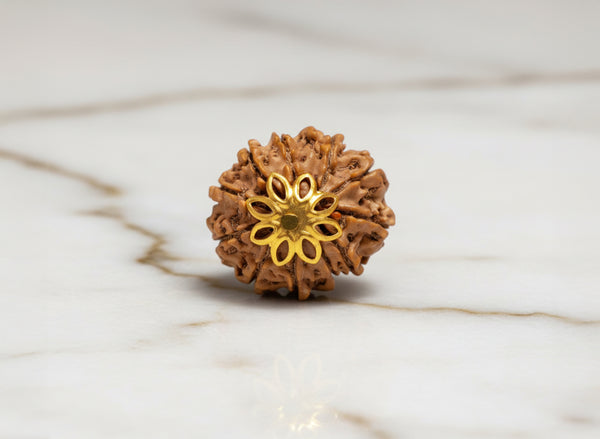 11 Mukhi Original Nepali Rudraksha