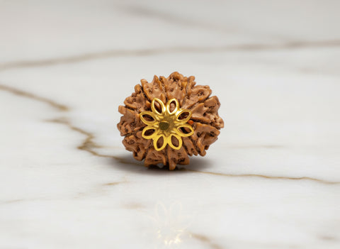 11 Mukhi Original Nepali Rudraksha