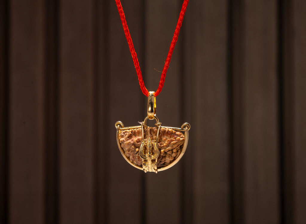 Ek Mukhi One Faced Trishul Rudraksha - Lab Certified