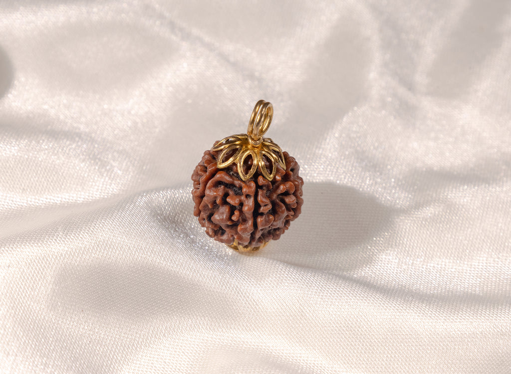 7 Mukhi Original Nepali Rudraksha