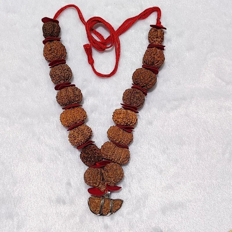1-14 Mukhi Rudraksha Mala Nepali (Siddha Mala)