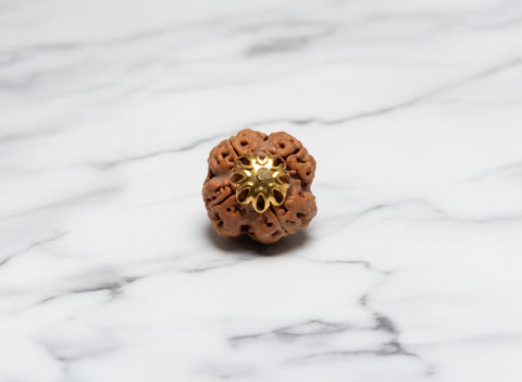 4 Mukhi Rudraksha (Nepali)