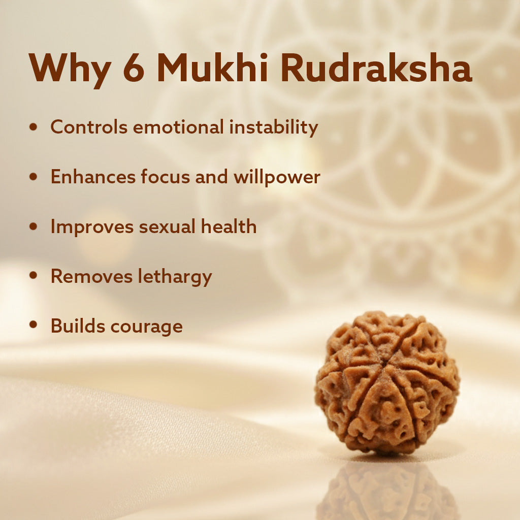 6 Mukhi Nepali Rudraksha